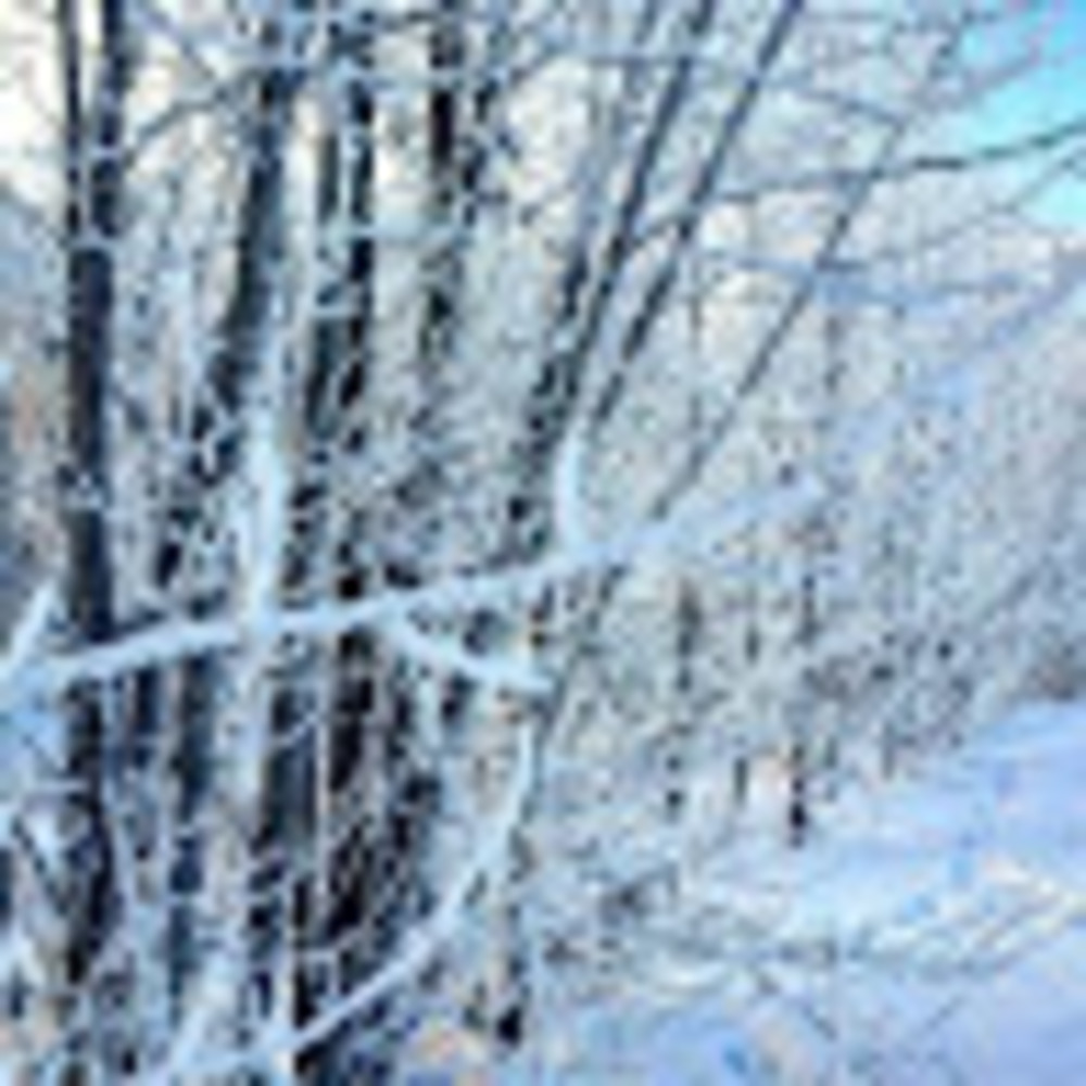 Meet your Posher, Kina